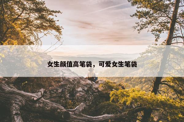 女生颜值高笔袋,可爱女生笔袋 女生颜值高笔袋,可爱女生笔袋