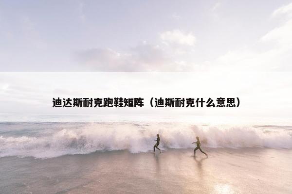 迪达斯耐克跑鞋矩阵(迪斯耐克什么意思) 迪达斯耐克跑鞋矩阵(迪斯耐克什么意思)