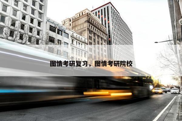 图情考研复习,图情考研院校 图情考研复习,图情考研院校