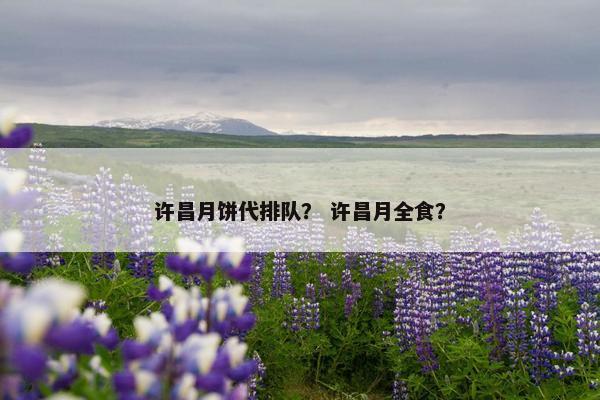 许昌月饼代排队？ 许昌月全食？