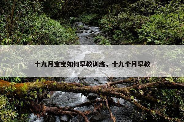 十九月宝宝如何早教训练，十九个月早教