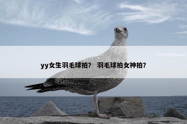 yy女生羽毛球拍？ 羽毛球拍女神拍？