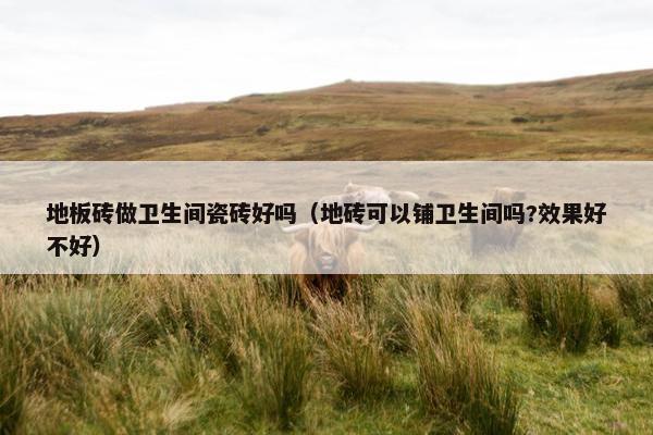 地板砖做卫生间瓷砖好吗(地砖可以铺卫生间吗?效果好不好) 地板砖做卫生间瓷砖好吗(地砖可以铺卫生间吗?效果好不好)