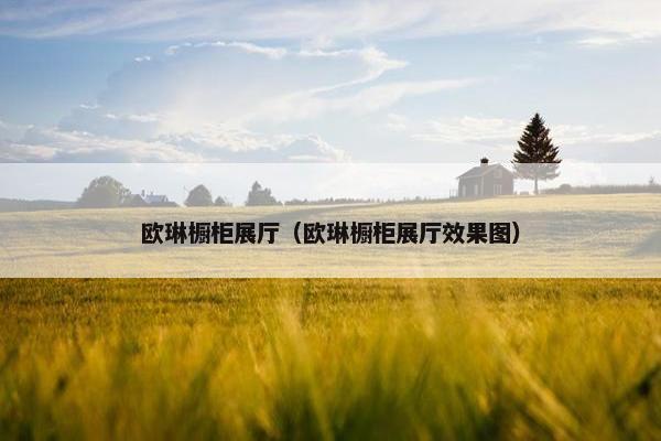 欧琳橱柜展厅（欧琳橱柜展厅效果图）