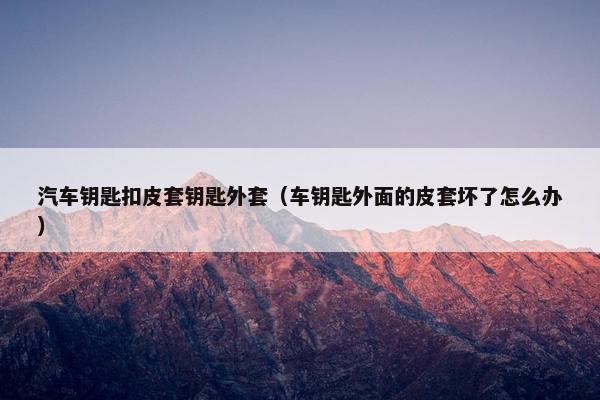 汽车钥匙扣皮套钥匙外套（车钥匙外面的皮套坏了怎么办）