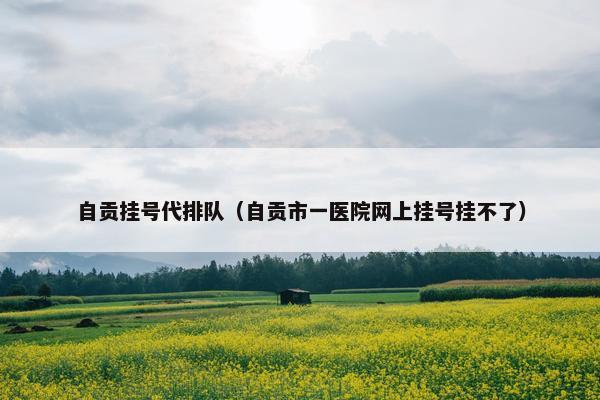 自贡挂号代排队（自贡市一医院网上挂号挂不了）