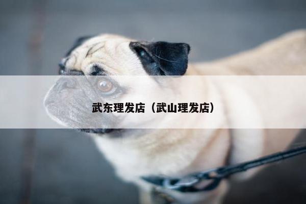 武东理发店（武山理发店）