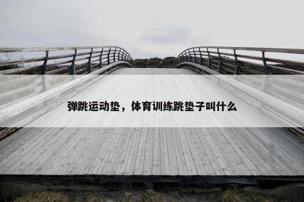 弹跳运动垫，体育训练跳垫子叫什么