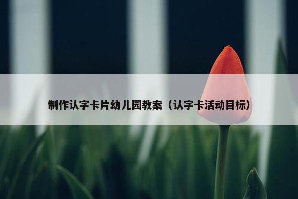 制作认字卡片幼儿园教案(认字卡活动目标) 制作认字卡片幼儿园教案(认字卡活动目标)