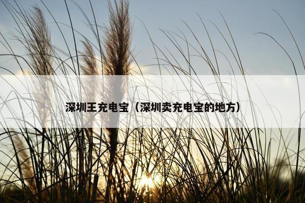 深圳王充电宝（深圳卖充电宝的地方）