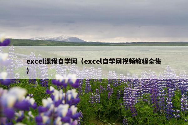 excel课程自学网（excel自学网视频教程全集）