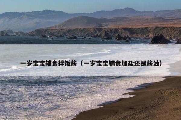 一岁宝宝辅食拌饭酱（一岁宝宝辅食加盐还是酱油）