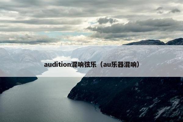 audition混响弦乐(au乐器混响) audition混响弦乐(au乐器混响)