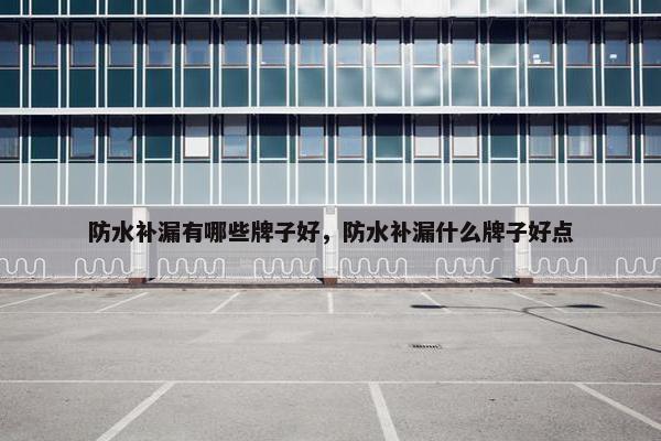 防水补漏有哪些牌子好，防水补漏什么牌子好点