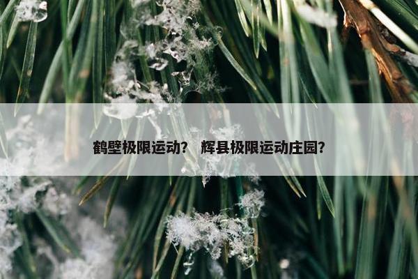 鹤壁极限运动？ 辉县极限运动庄园？
