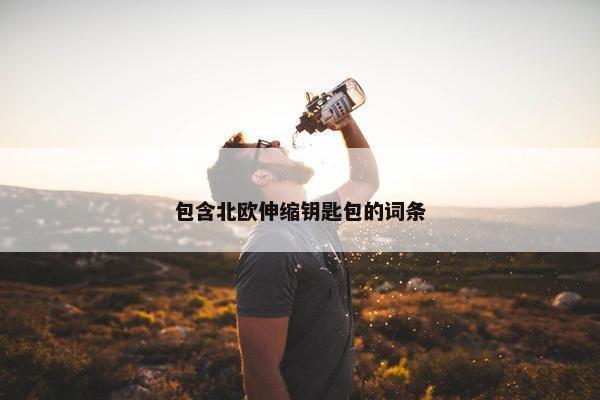 包含北欧伸缩钥匙包的词条