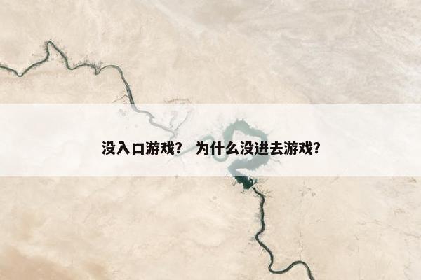 没入口游戏？ 为什么没进去游戏？