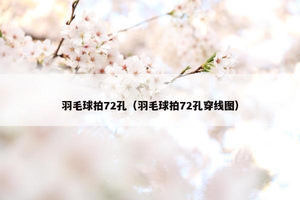 羽毛球拍72孔（羽毛球拍72孔穿线图）