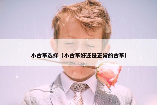 小古筝选择(小古筝好还是正常的古筝) 小古筝选择(小古筝好还是正常的古筝)