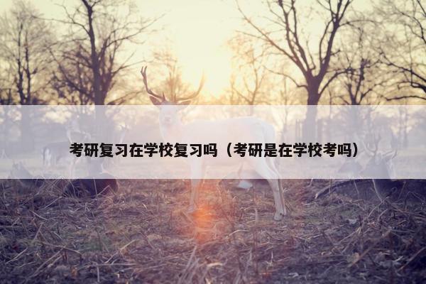 考研复习在学校复习吗（考研是在学校考吗）