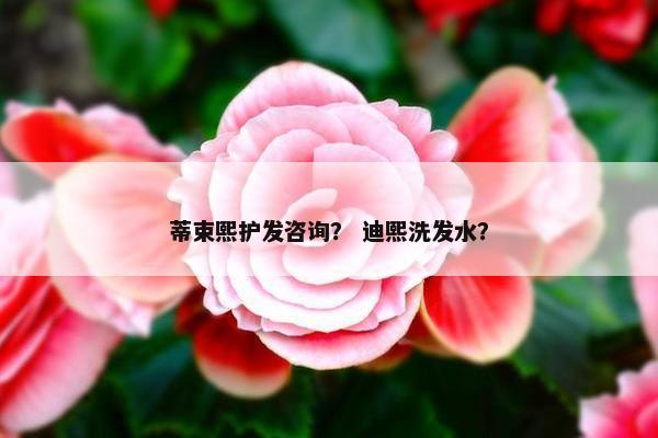 蒂束熙护发咨询？ 迪熙洗发水？