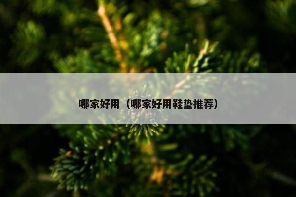 哪家好用（哪家好用鞋垫推荐）