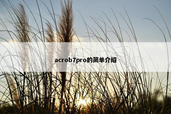 acrob7pro的简单介绍