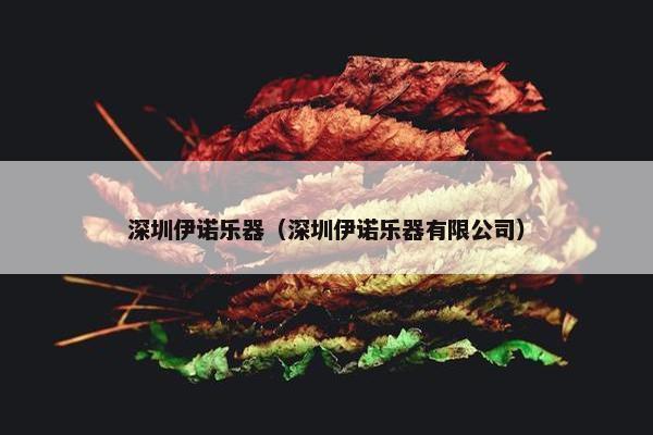 深圳伊诺乐器（深圳伊诺乐器有限公司）