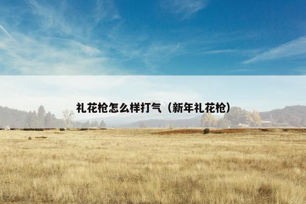 礼花枪怎么样打气（新年礼花枪）