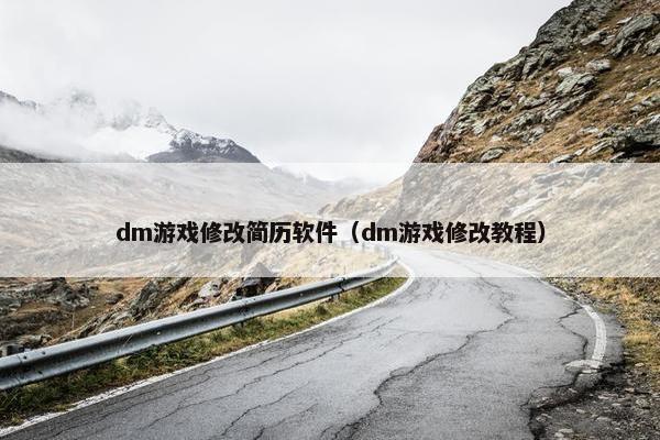 dm游戏修改简历软件（dm游戏修改教程）