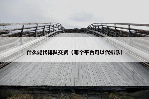 什么能代排队交费（哪个平台可以代排队）