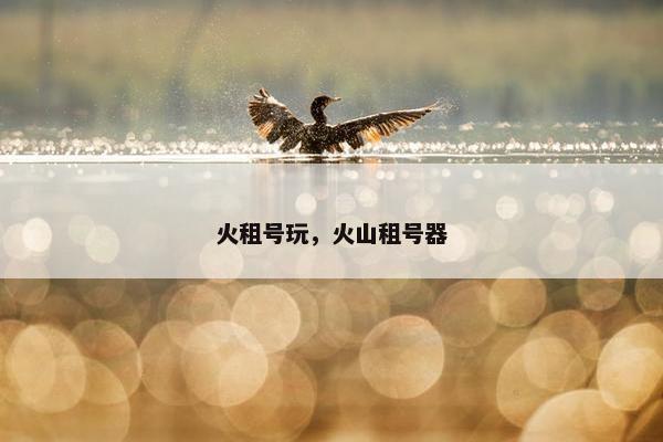 火租号玩，火山租号器
