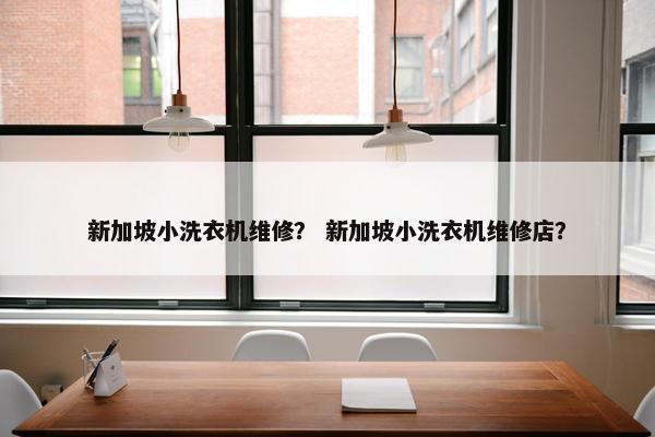 新加坡小洗衣机维修？ 新加坡小洗衣机维修店？