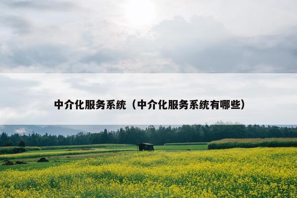 中介化服务系统（中介化服务系统有哪些）