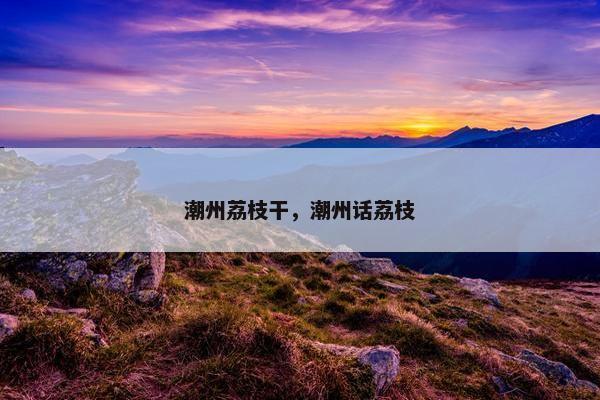 潮州荔枝干，潮州话荔枝