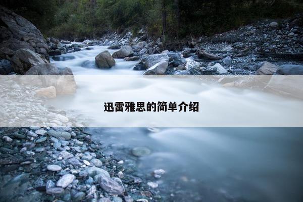 迅雷雅思的简单介绍