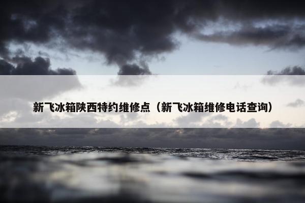 新飞冰箱陕西特约维修点（新飞冰箱维修电话查询）