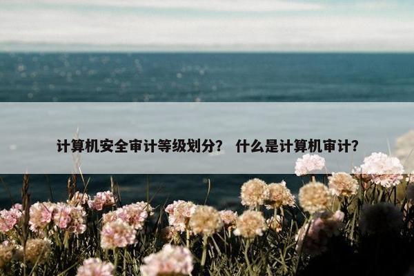 计算机安全审计等级划分？ 什么是计算机审计？