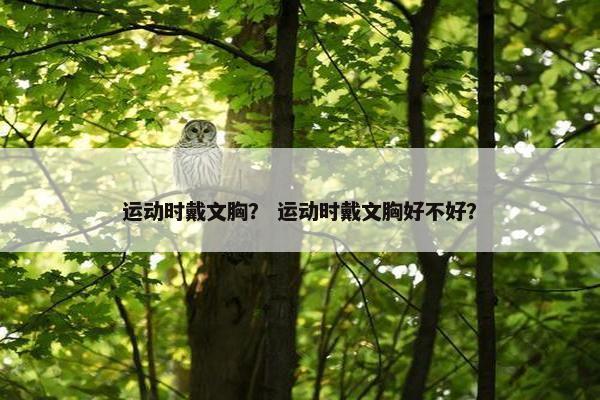 运动时戴文胸？ 运动时戴文胸好不好？