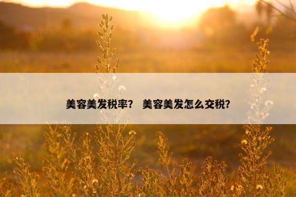 美容美发税率? 美容美发怎么交税? 美容美发税率? 美容美发怎么交税?