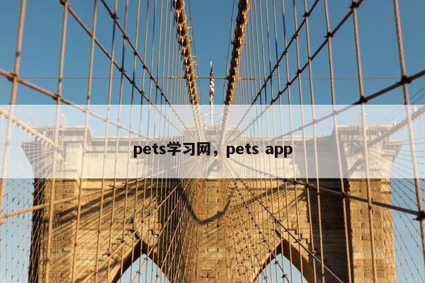 pets学习网，pets app