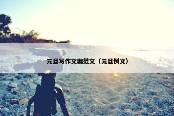 元旦写作文案范文（元旦例文）