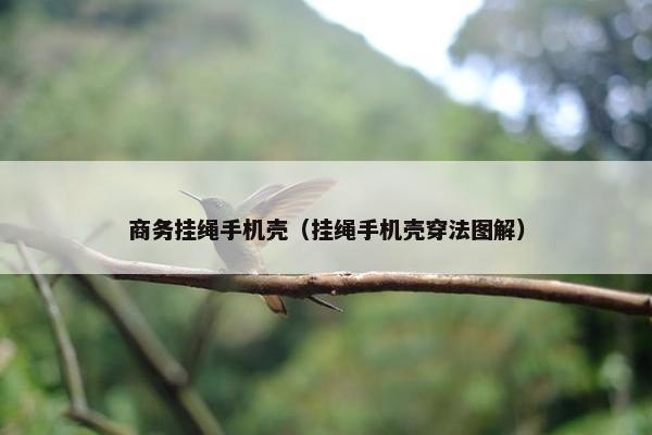 商务挂绳手机壳（挂绳手机壳穿法图解）