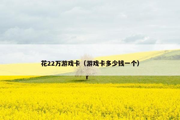 花22万游戏卡（游戏卡多少钱一个）