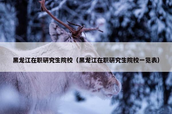 黑龙江在职研究生院校（黑龙江在职研究生院校一览表）