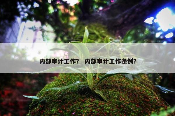 内部审计工作? 内部审计工作条例? 内部审计工作? 内部审计工作条例?