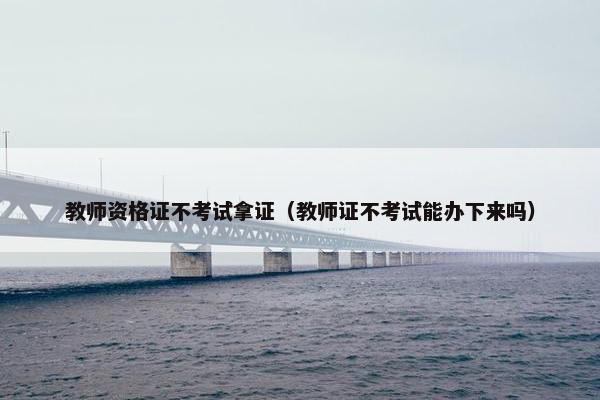 教师资格证不考试拿证（教师证不考试能办下来吗）