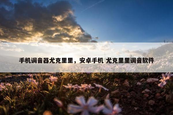手机调音器尤克里里，安卓手机 尤克里里调音软件