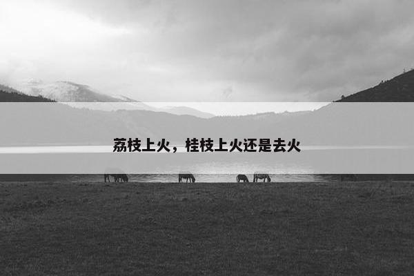 荔枝上火,桂枝上火还是去火 荔枝上火,桂枝上火还是去火