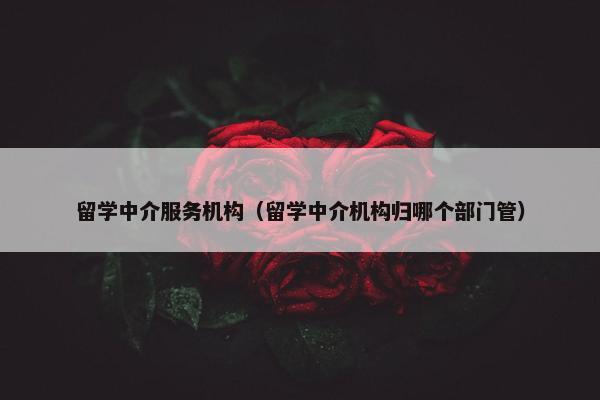 留学中介服务机构(留学中介机构归哪个部门管) 留学中介服务机构(留学中介机构归哪个部门管)